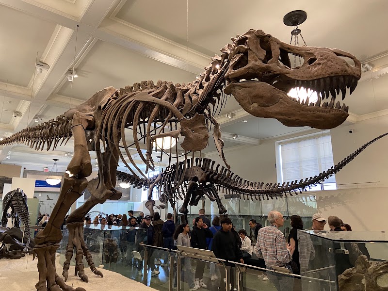 Gilder Center for Science, Education, and Innovation photo 3