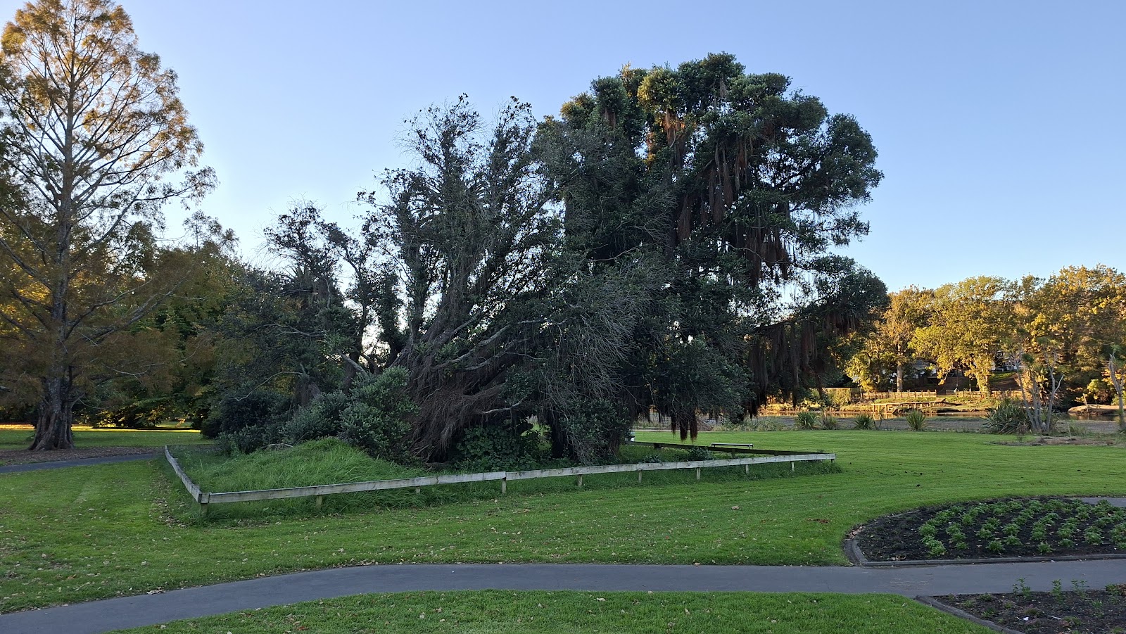 Gisborne Botanical Gardens photo 3