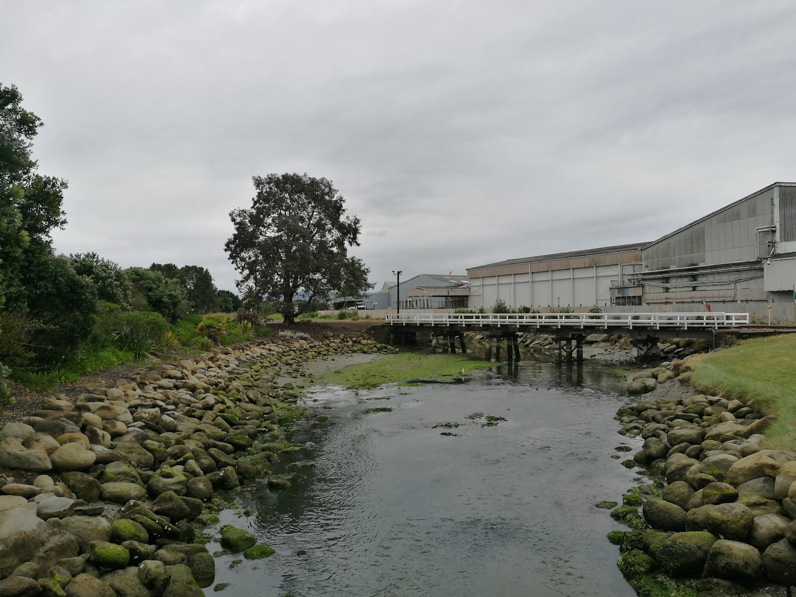 Gisborne City Vintage Railway photo 3