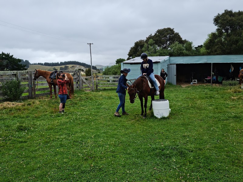 Gladstone horse treks photo 2