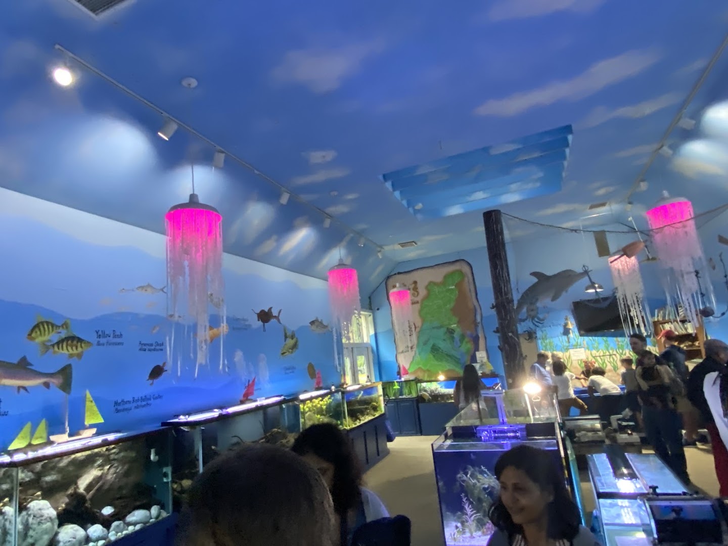 Glen Echo Park Aquarium photo 2