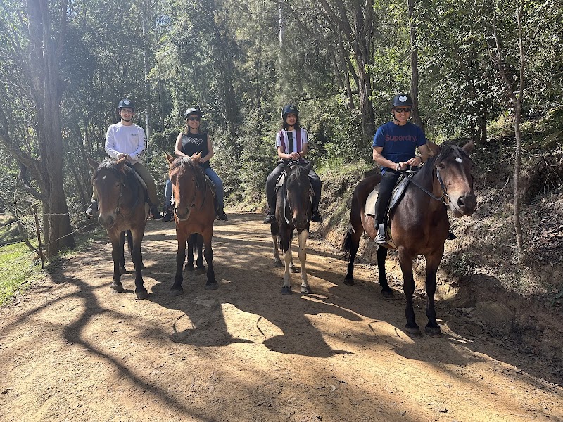Glenworth Valley Horse Riding photo 2
