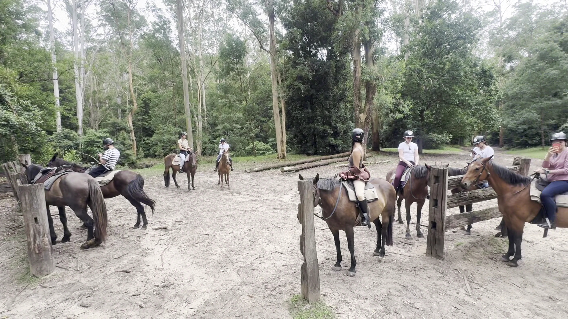 Glenworth Valley Horse Riding