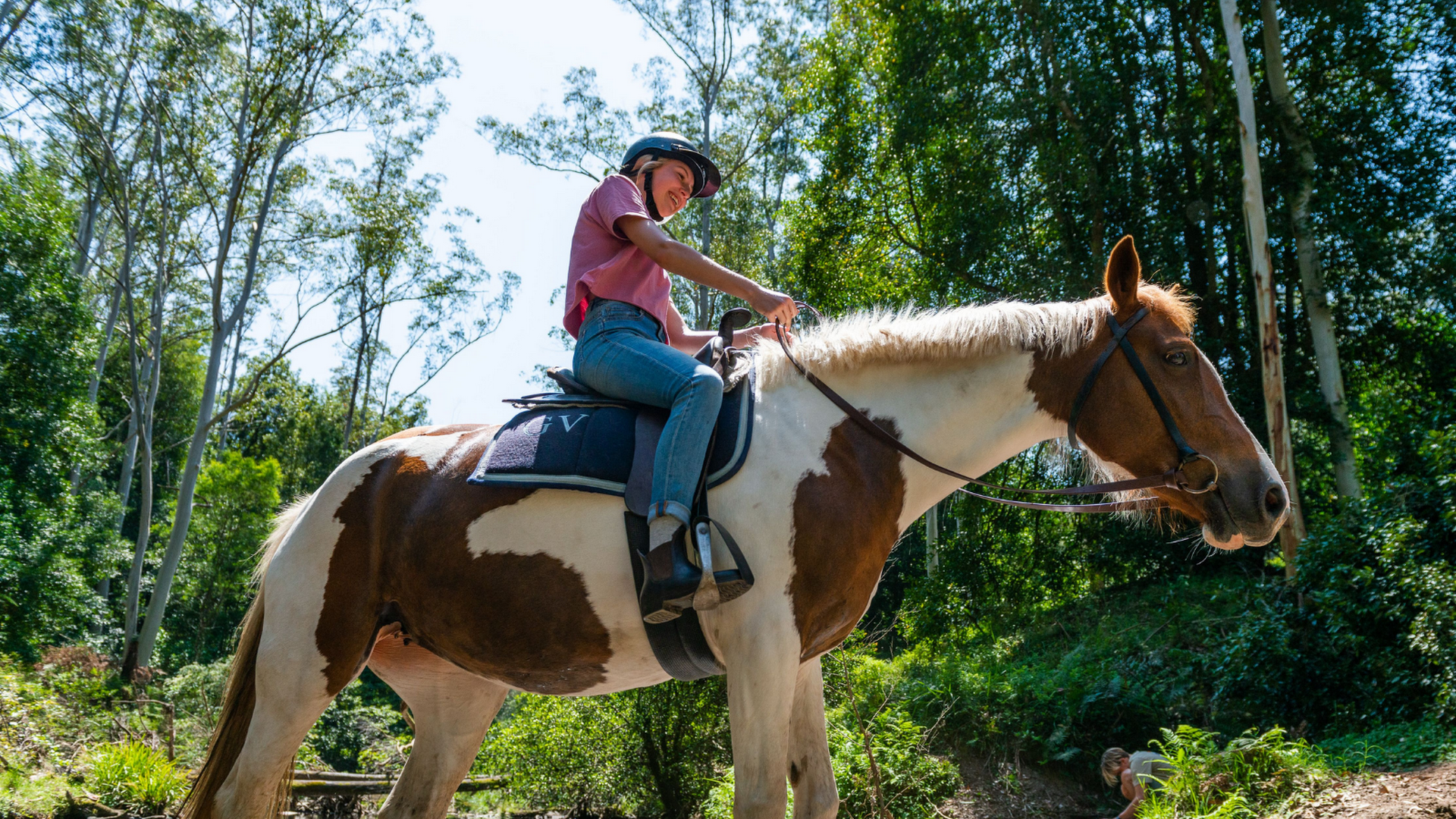 Glenworth Valley Horse Riding photo 3
