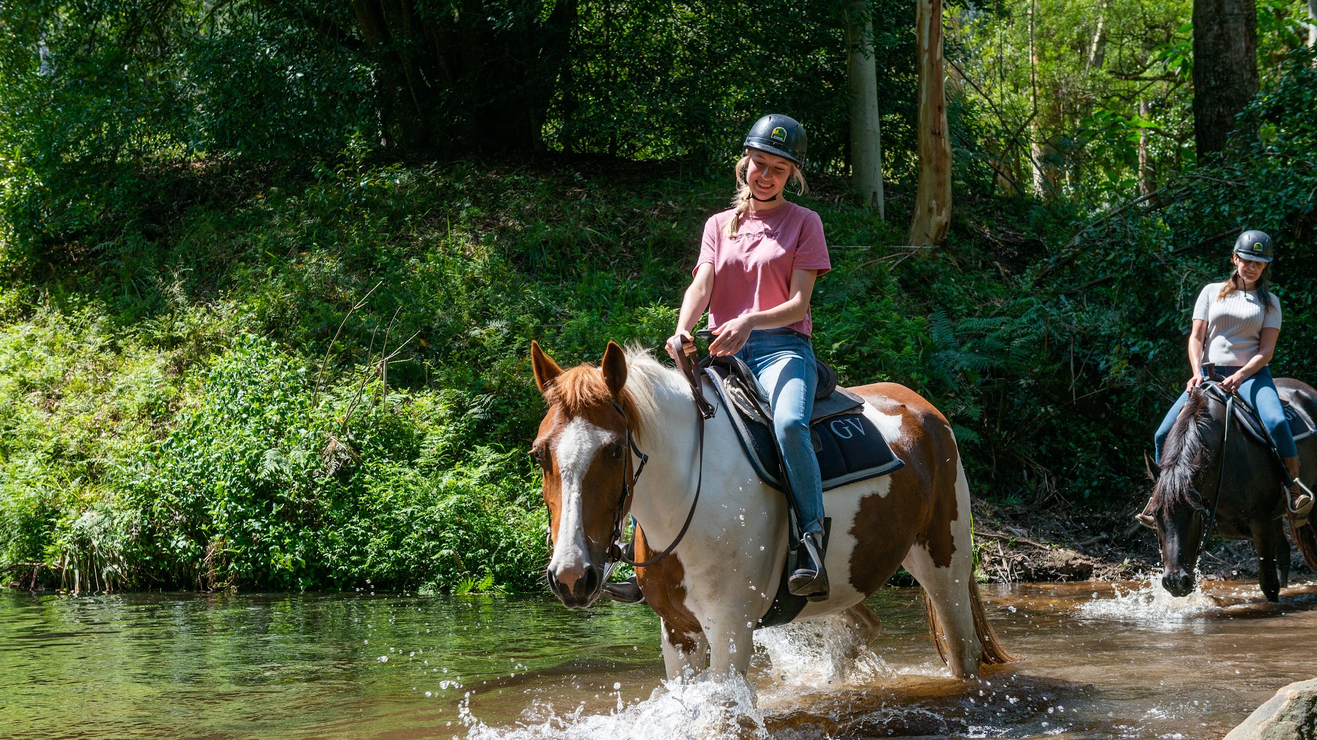 Glenworth Valley Horse Riding photo 2