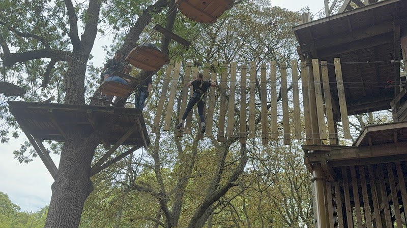 Go Ape Battersea photo 2