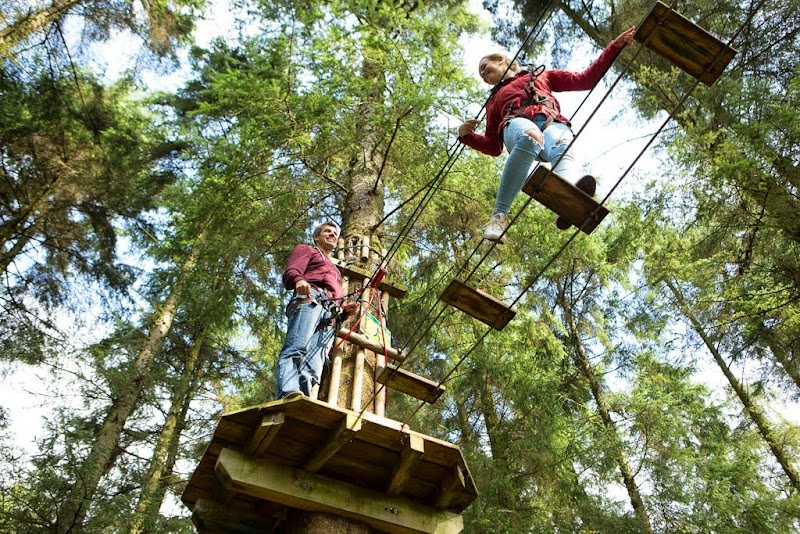 Go Ape Black Park photo 2