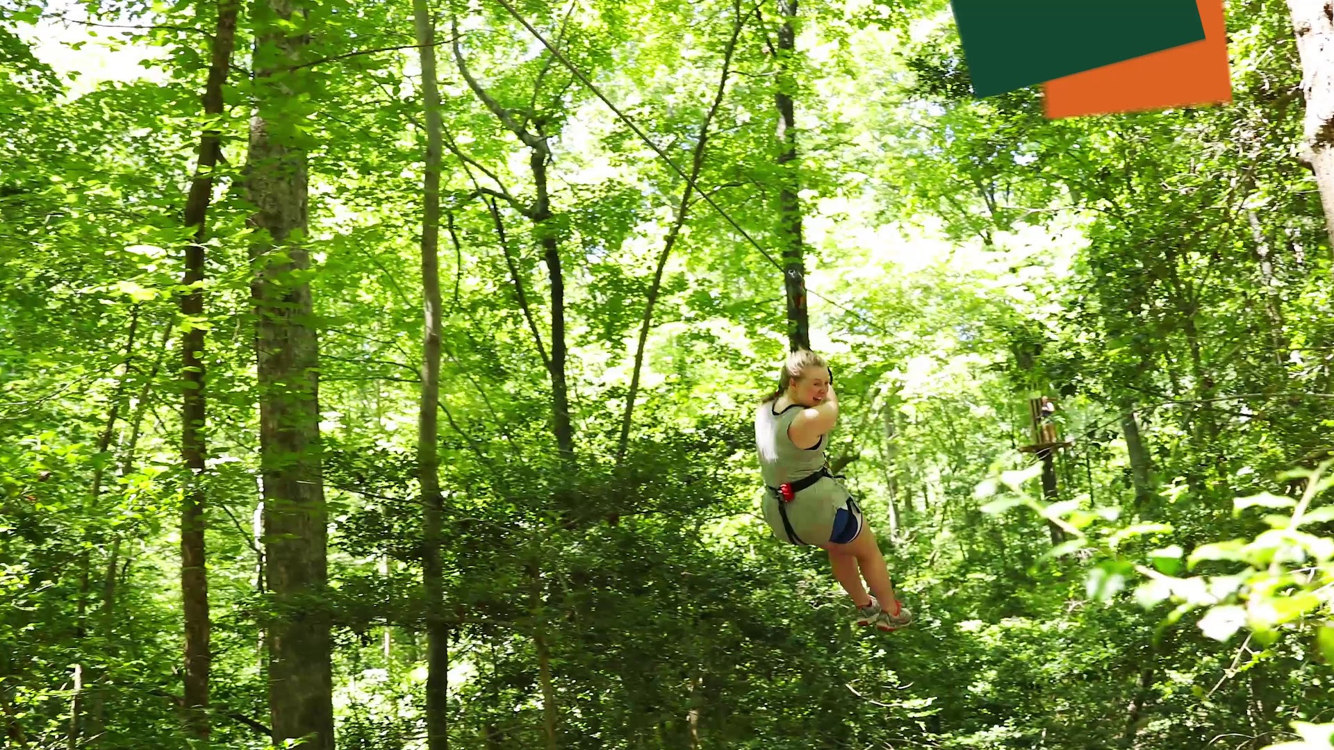 Go Ape Zipline and Adventure Park photo 2