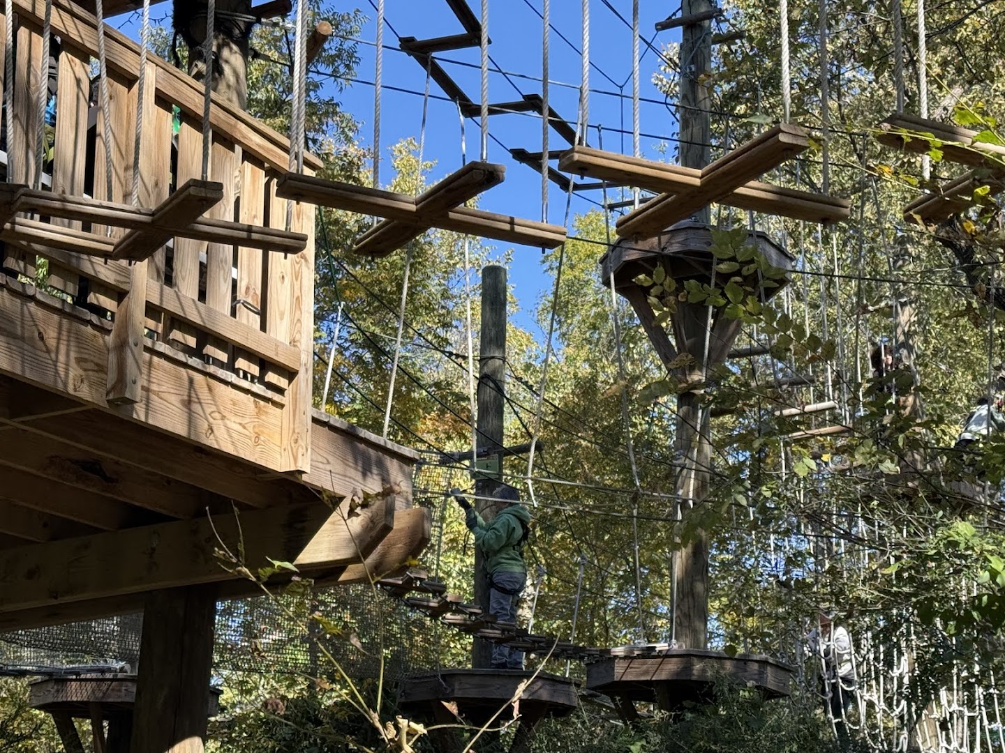 Go Ape Zipline and Adventure Park photo 2