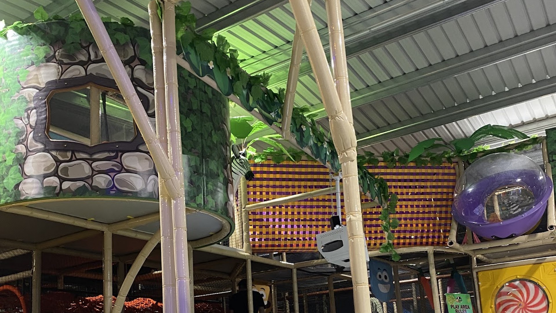 Go Wild Indoor Fun Park