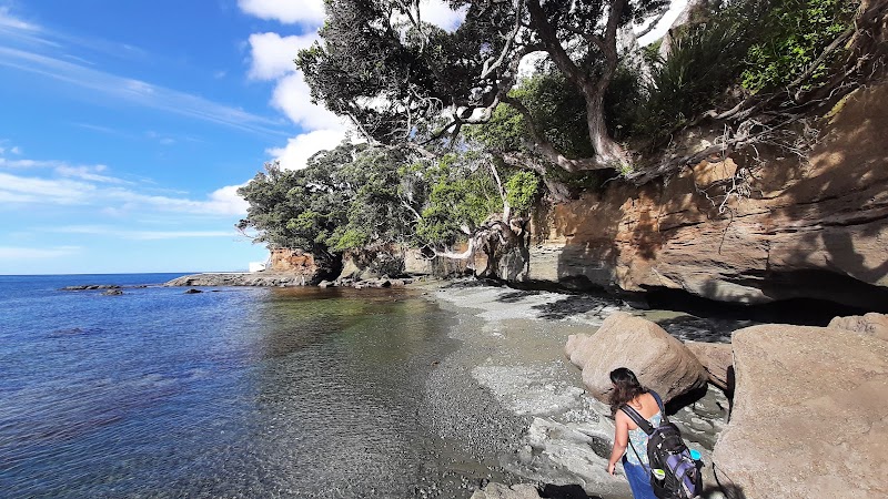 Goat Island Marine Discovery Centre photo 2