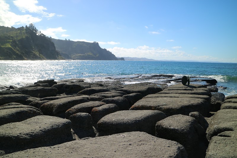 Goat Island Marine Discovery Centre photo 3