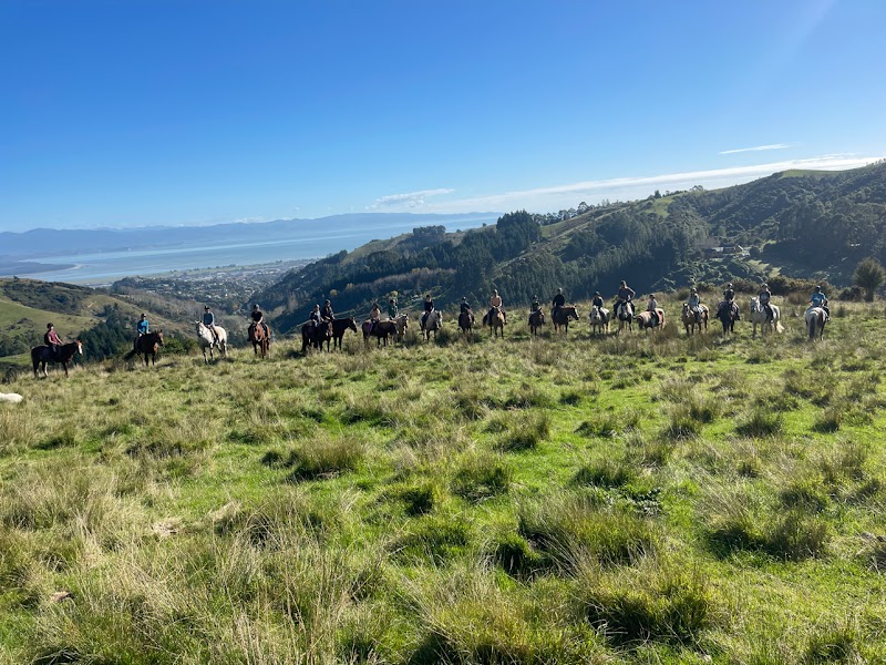Golden Hills Equestrian Centre