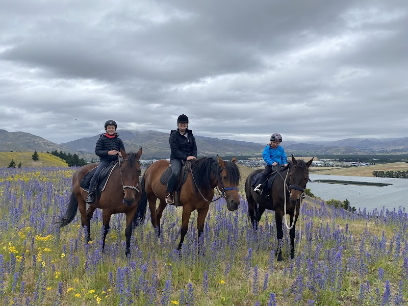 Golden Hills Equestrian Centre photo 2