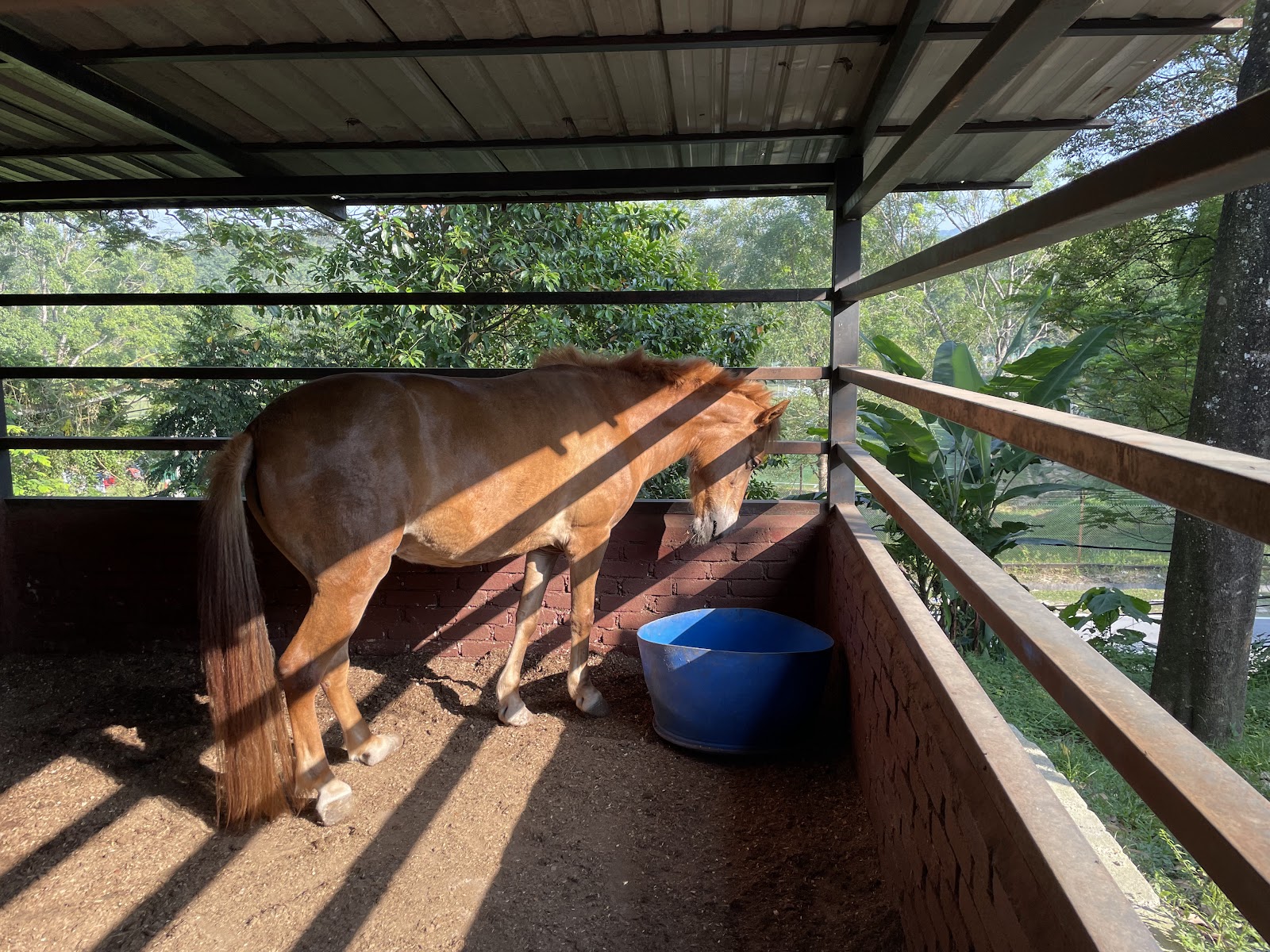 Gombak Horse Riding Club photo 3