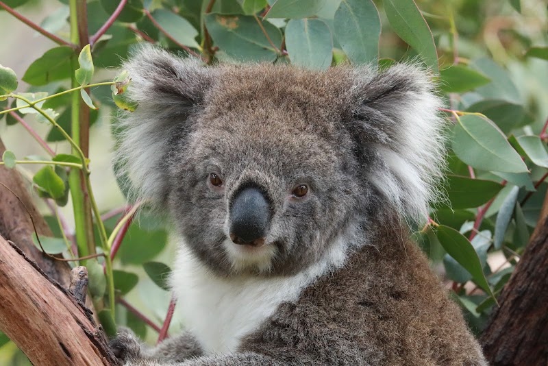 Gorge Wildlife Park