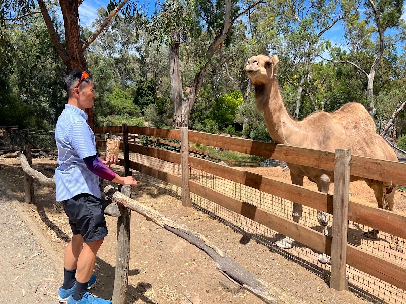 Gorge Wildlife Park photo 2
