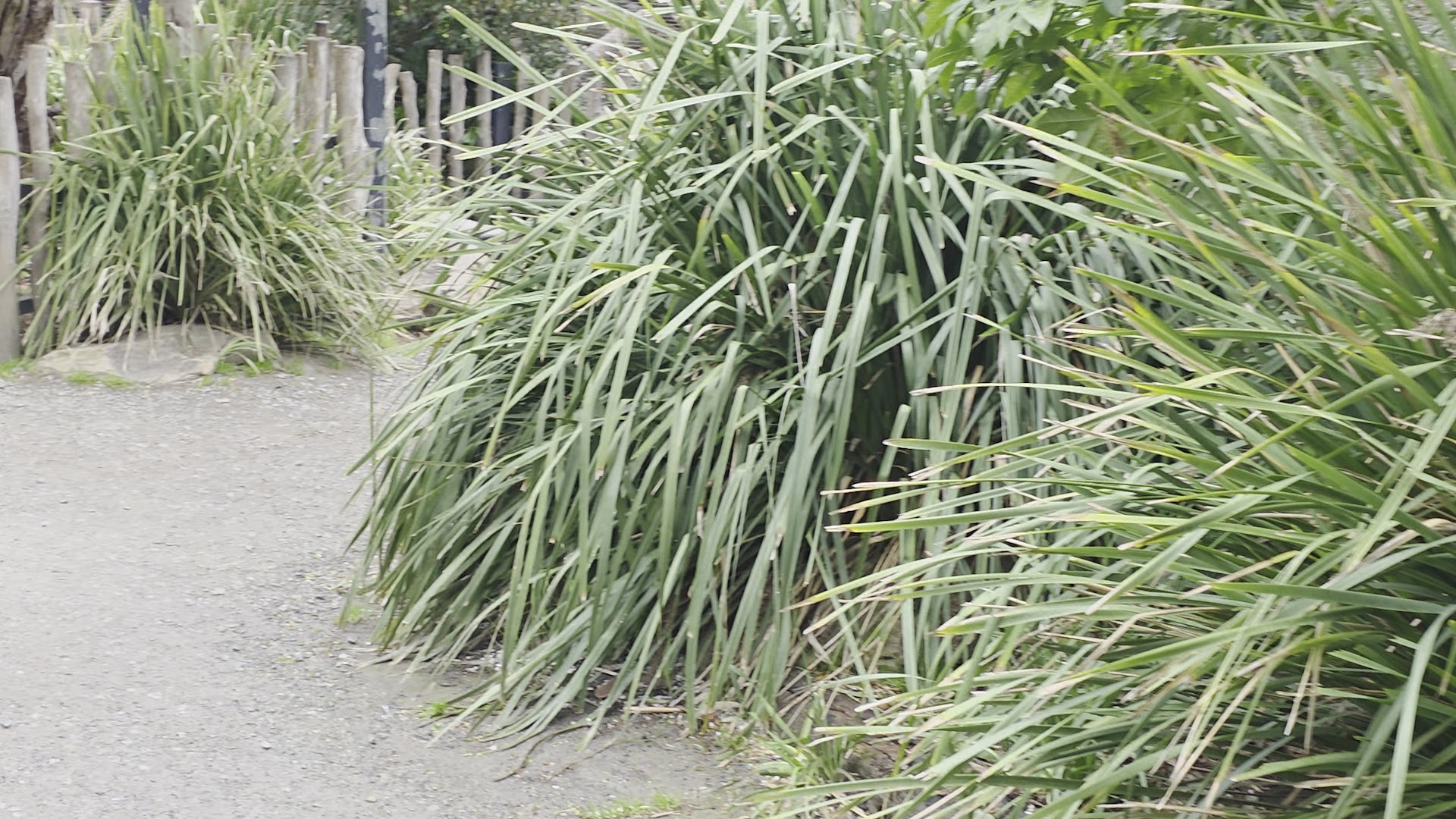 Gorge Wildlife Park photo 3