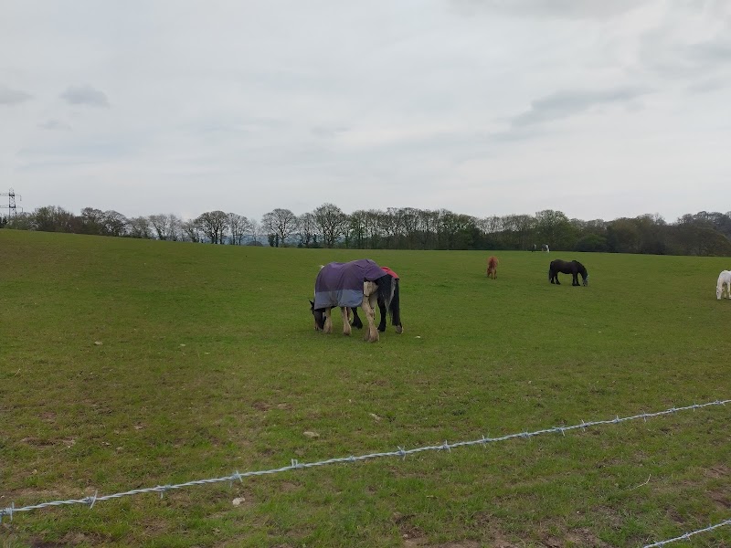 Goyt Hall Farm