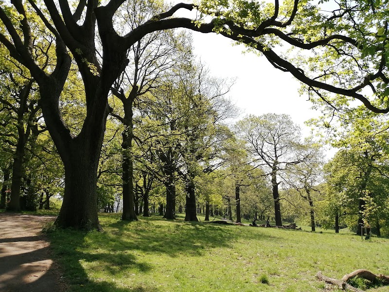 Grangewood Park photo 2