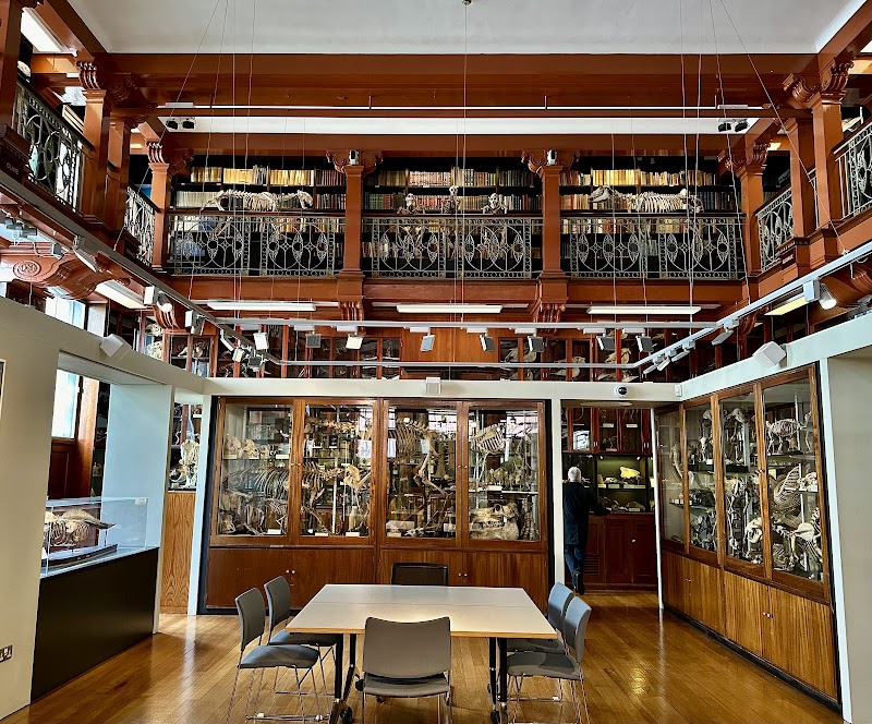 Grant Museum of Zoology