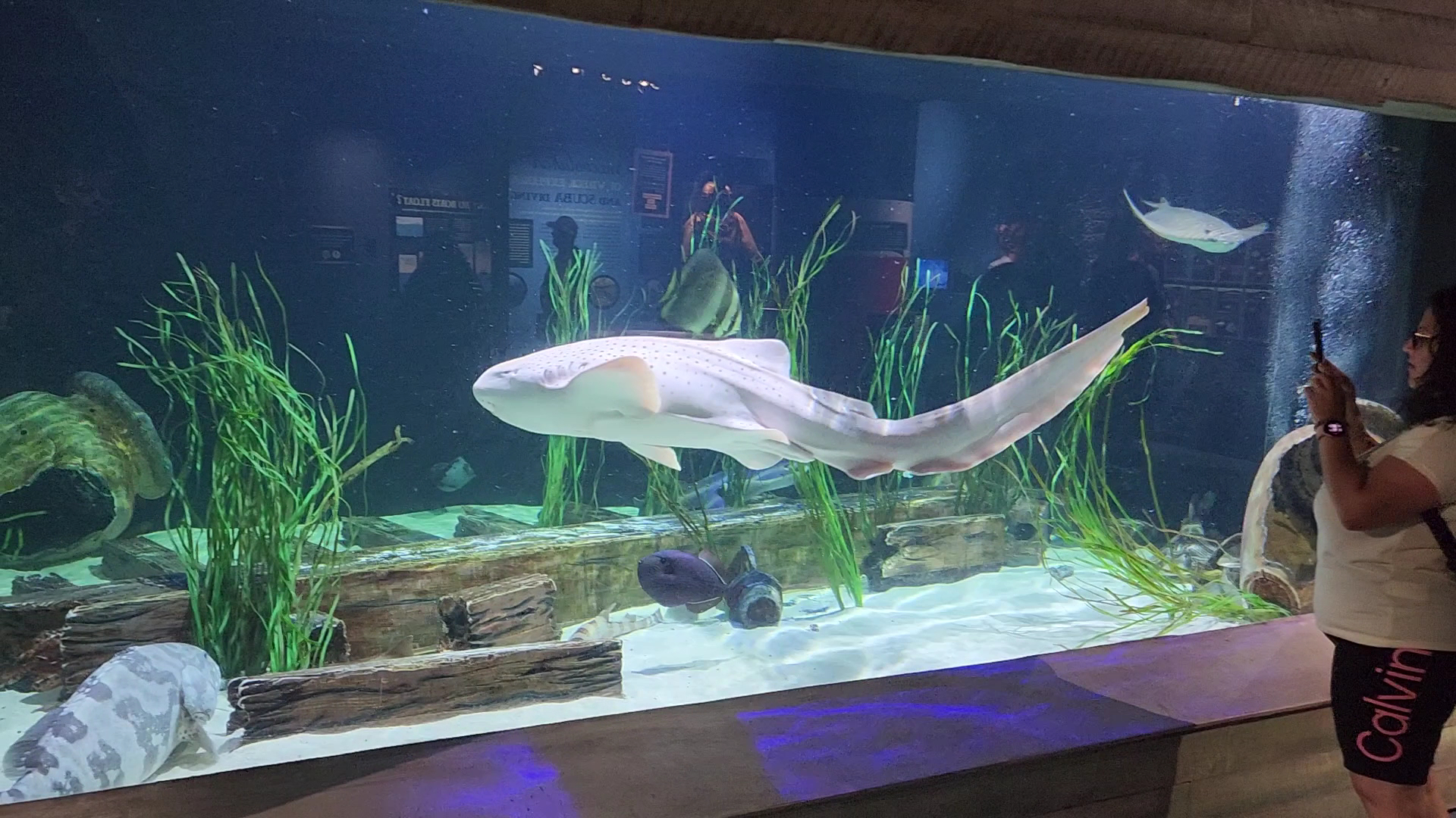 Great Lakes Aquarium photo 2