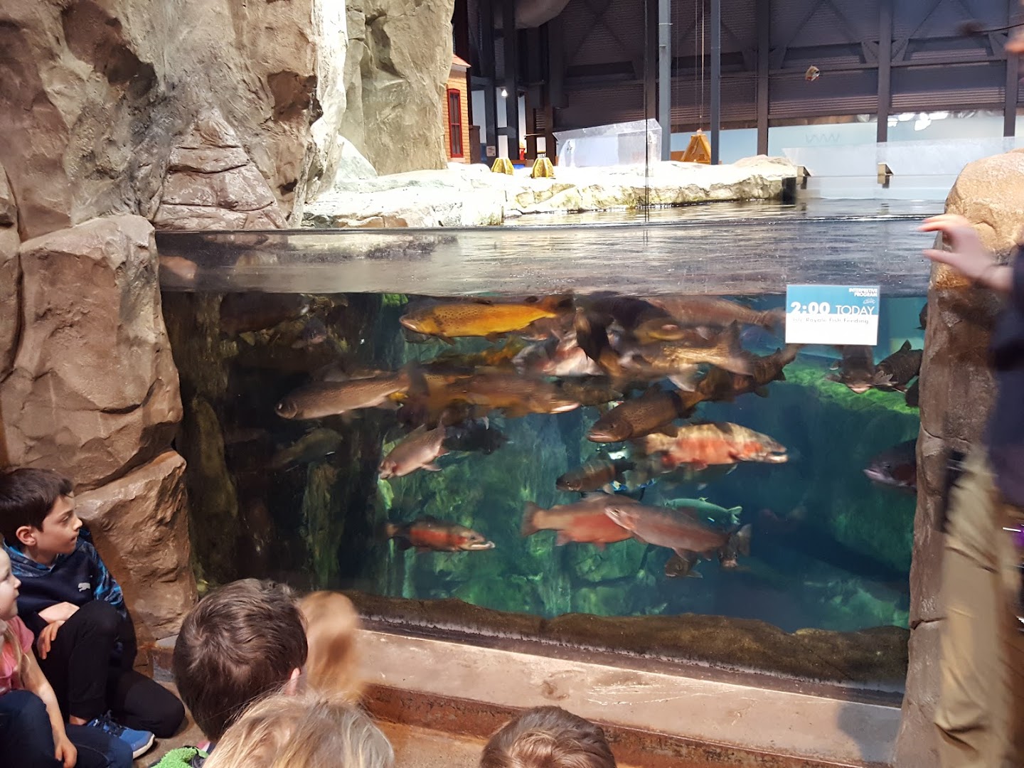 Great Lakes Aquarium photo 3