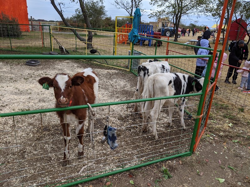Green Meadows Farm Brooklyn