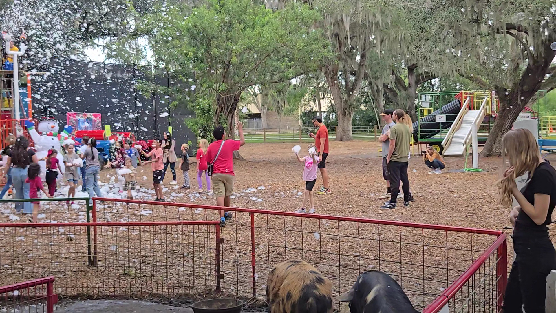 Green Meadows Petting Farm photo 2
