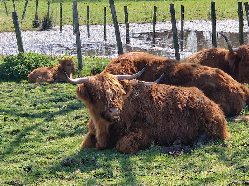 Greenacres Animal Park photo 2