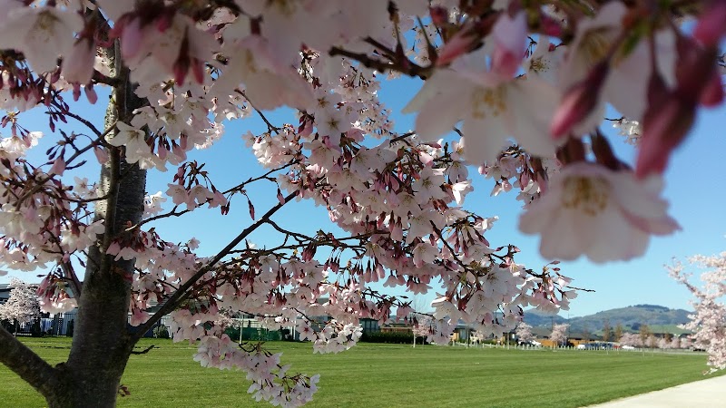 Greenaway Park