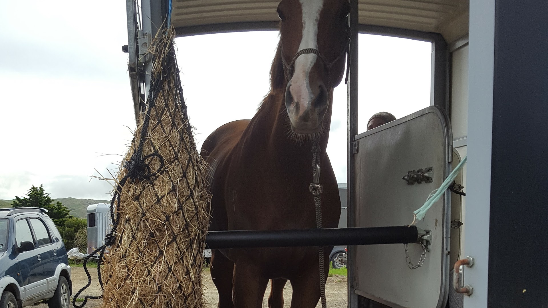 Greendowns Equestrian Centre