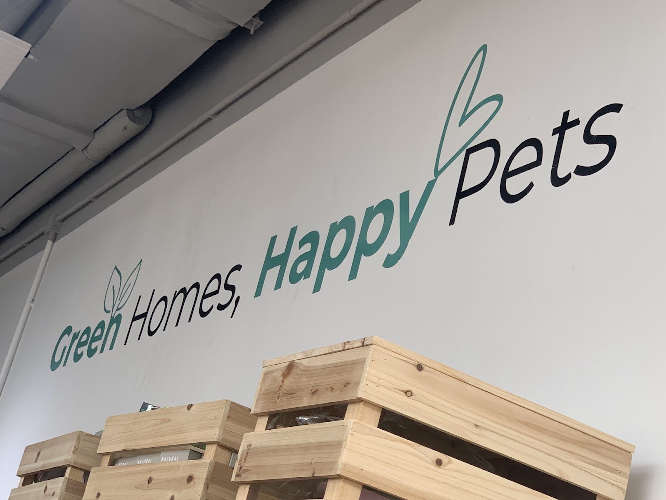 森流GreenFlow - 水族、爬蟲、奇異植物（觀塘店） photo 2