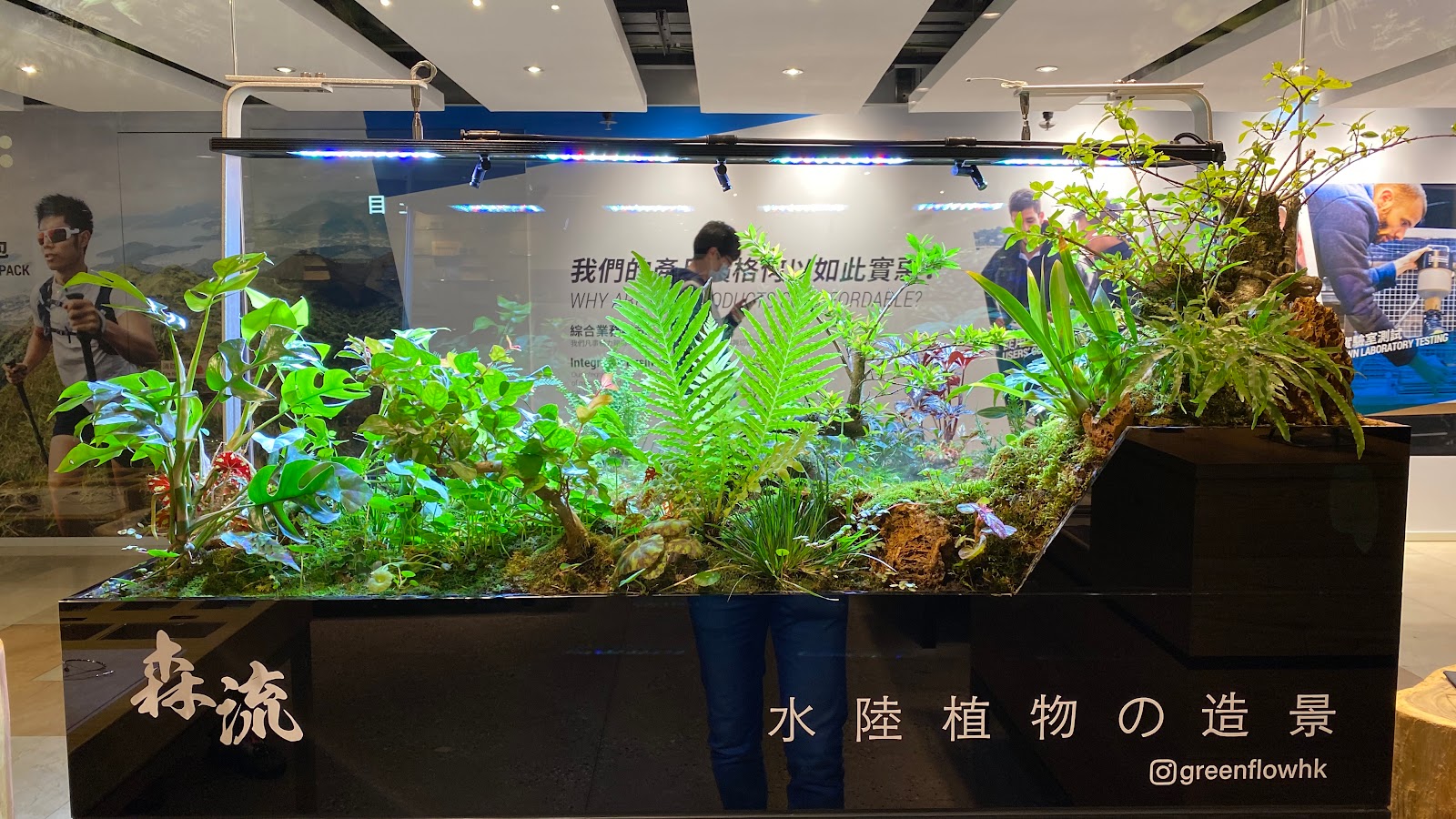 森流GreenFlow - 水族、爬蟲、奇異植物（觀塘店） photo 4