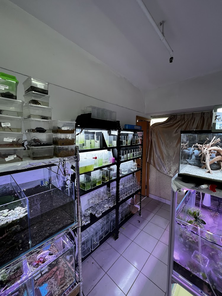 森流GreenFlow - 水族、爬蟲、奇異植物（觀塘店） photo 5