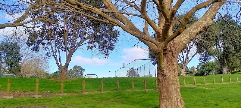 Grey Lynn Pump Track photo 2