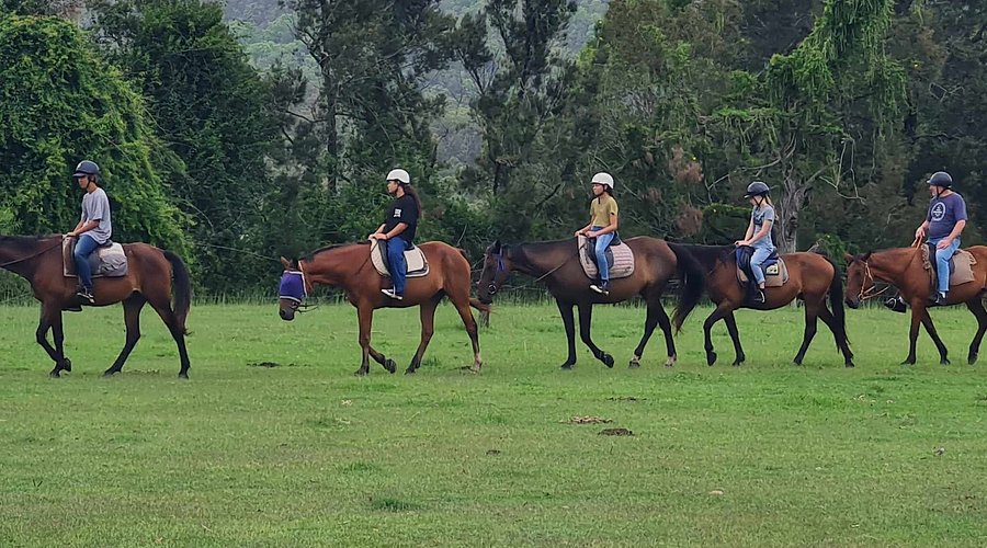 Photo of Gumnut Tours in Queensland