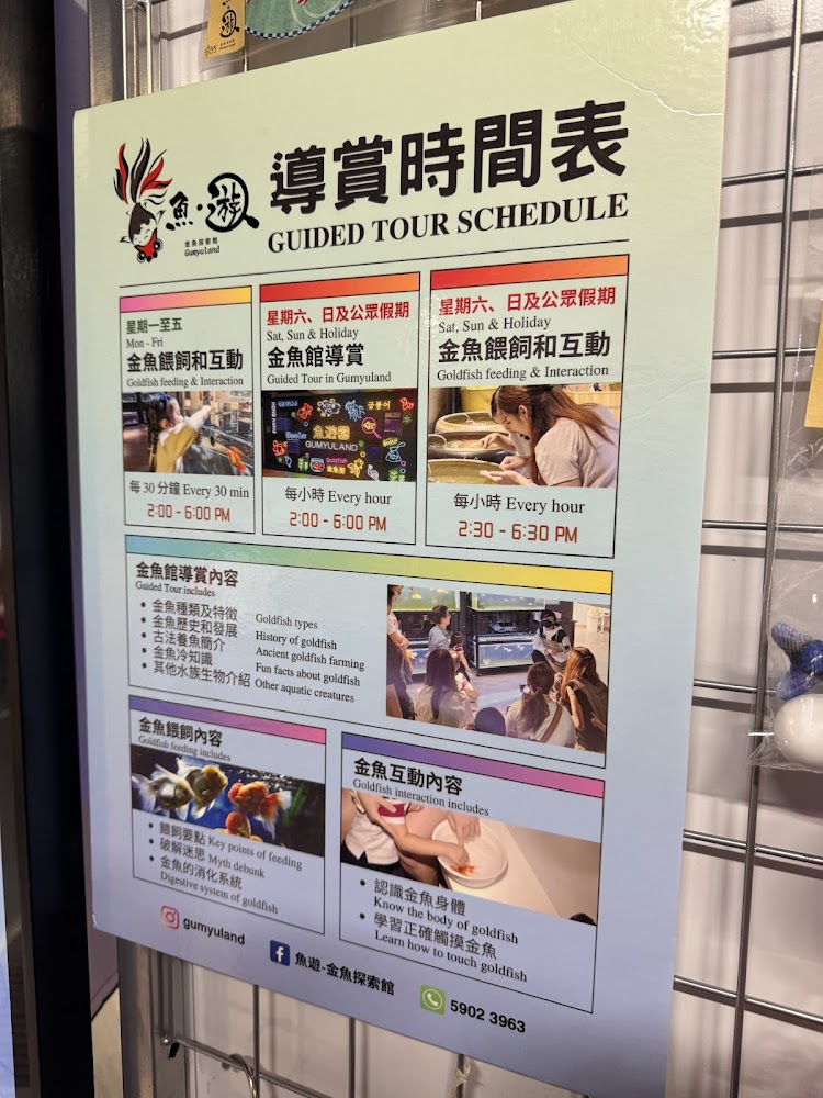 魚遊-金魚探索館 Gumyuland playhouse photo 4