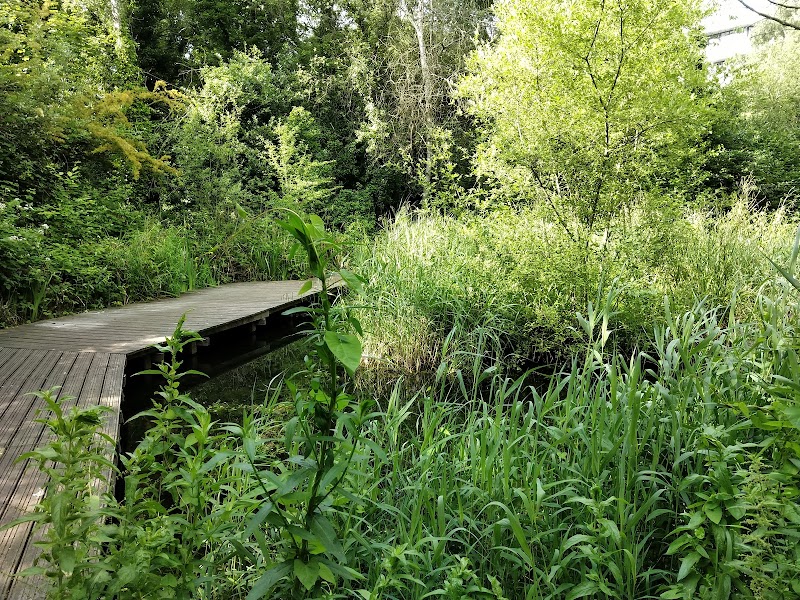Gunnersbury Triangle, London Wildlife Trust