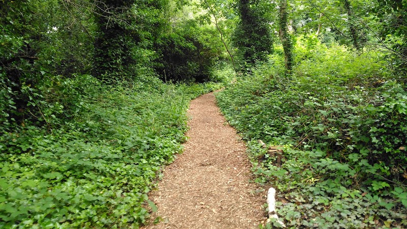 Gunnersbury Triangle, London Wildlife Trust photo 2