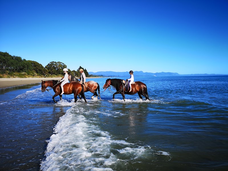 Hack'n Stay Golden Bay, Beach Horse Riding, Camping, Accommodation photo 2