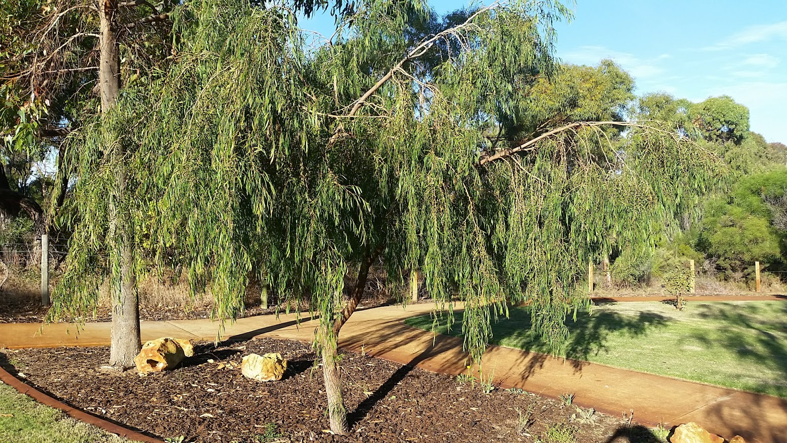 Haddington Park photo 2