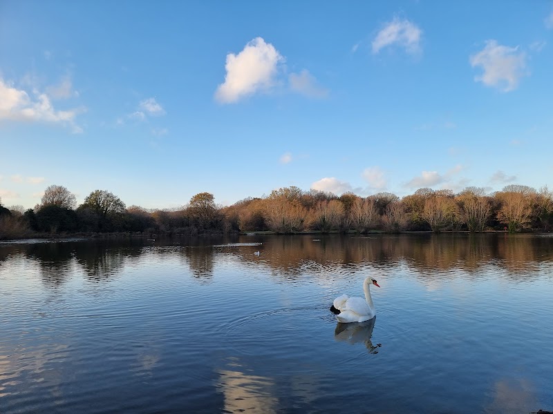 Hainault Forest