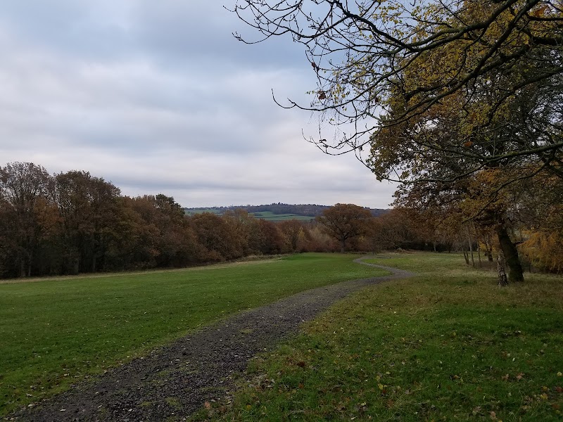 Hainault Forest photo 2