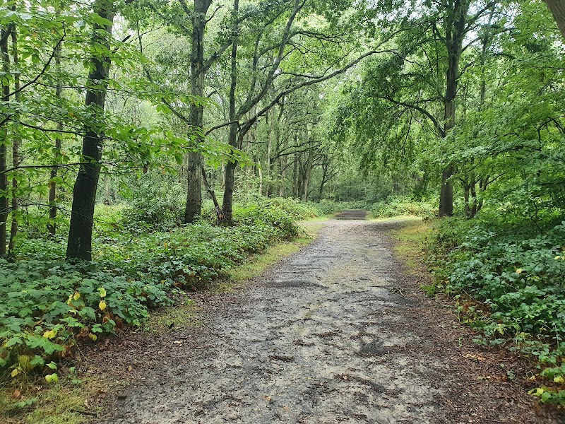 Hainault Forest photo 3
