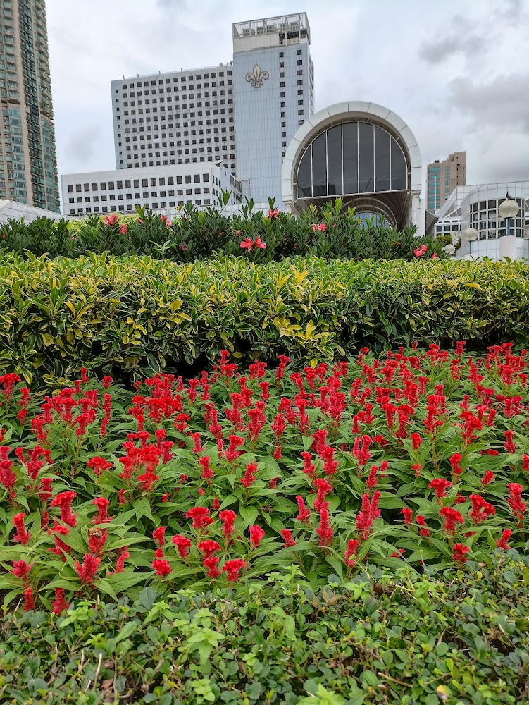 Haiphong Road Children's Playground photo 4