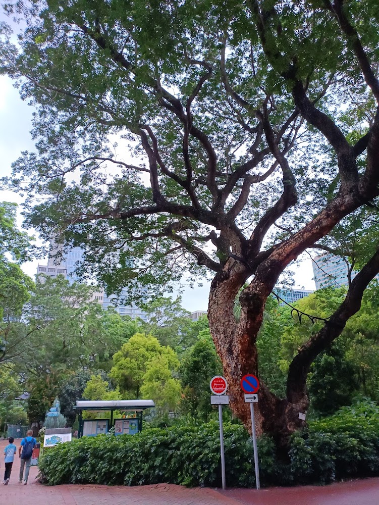 Haiphong Road Children's Playground photo 5
