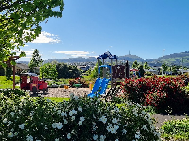 Halswell Domain Playground photo 3