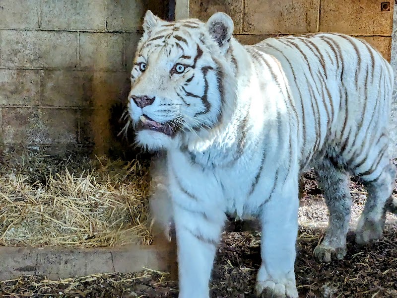 Hamerton Zoo Park photo 2