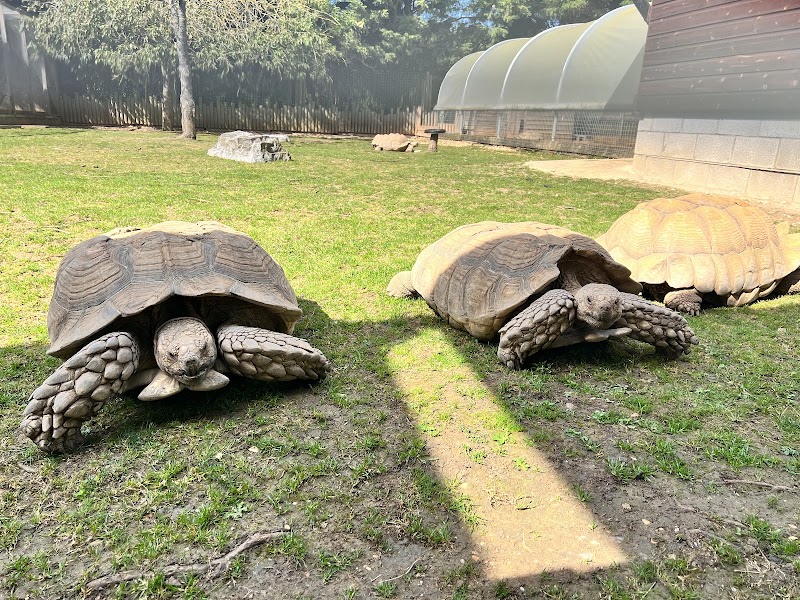 Hamerton Zoo Park photo 3